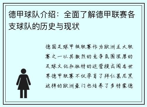 德甲球队介绍：全面了解德甲联赛各支球队的历史与现状