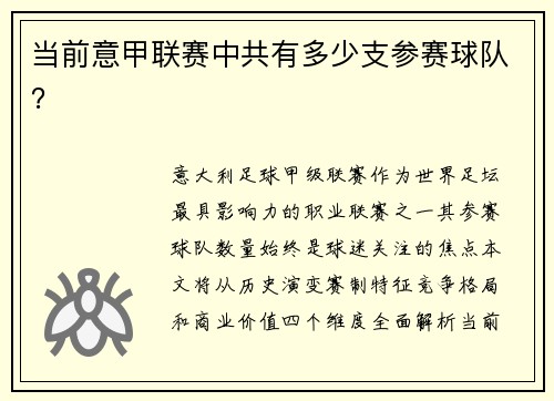 当前意甲联赛中共有多少支参赛球队？